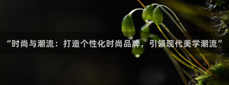 华润娱乐用