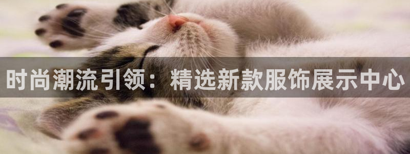 华润娱乐地址查询