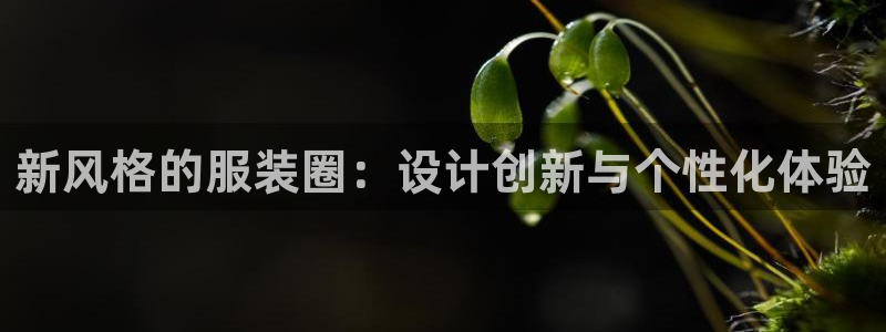 华润娱乐前5指尖