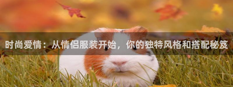 华润娱乐湛95692