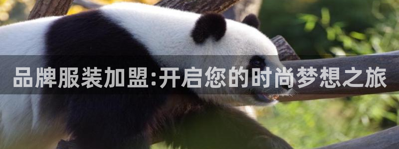 华润娱乐氏92222
