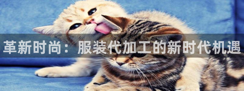 华润娱乐找qv3822233