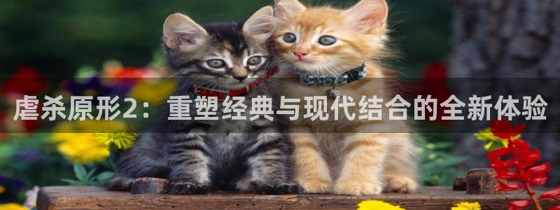 华润国际娱乐场