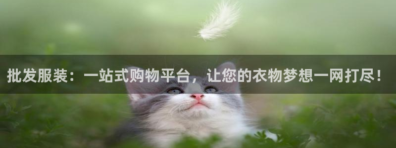 华润2娱乐：批发服装：一站式购物平台，让
