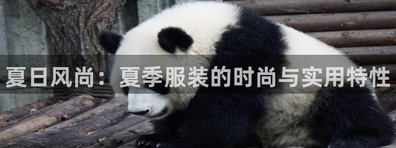 华润娱乐f3指尖