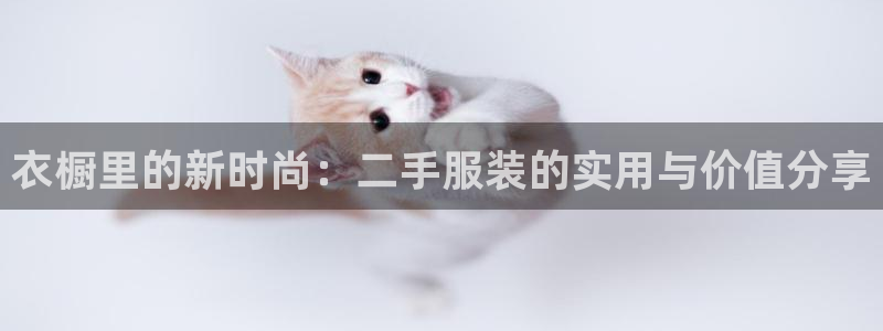 华润娱乐唐判官21