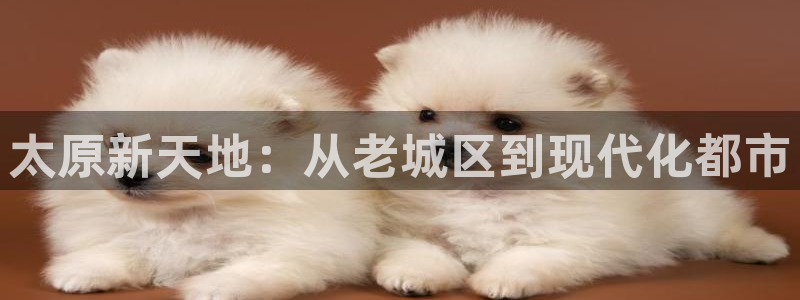 华润通积分娱乐大厅在哪