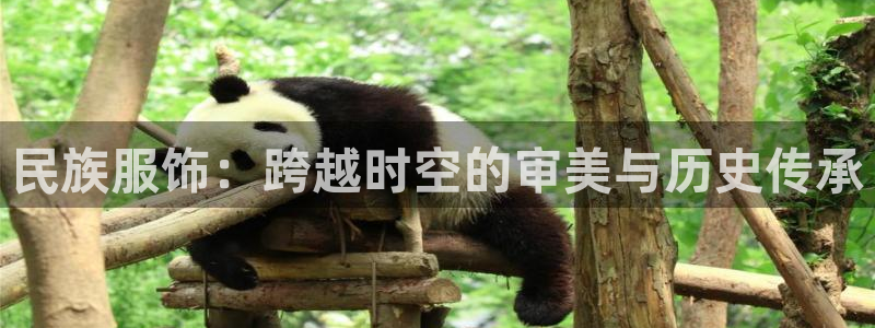 华润娱乐找382223