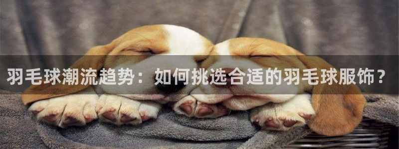 华润娱乐指尖可