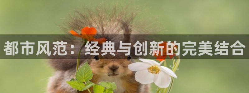 华润娱乐b3指尖