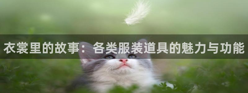 华润娱乐己 92222